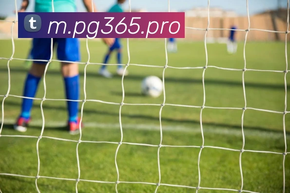 体育直播服务